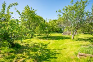 Grounds- click for photo gallery